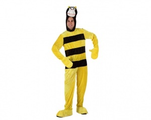 Déguisement de carnaval 96952 300x240 - Déguisement de carnaval